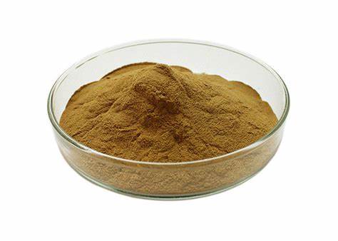 Natural Cactus Extract powder