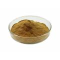 Natural Cactus Extract powder