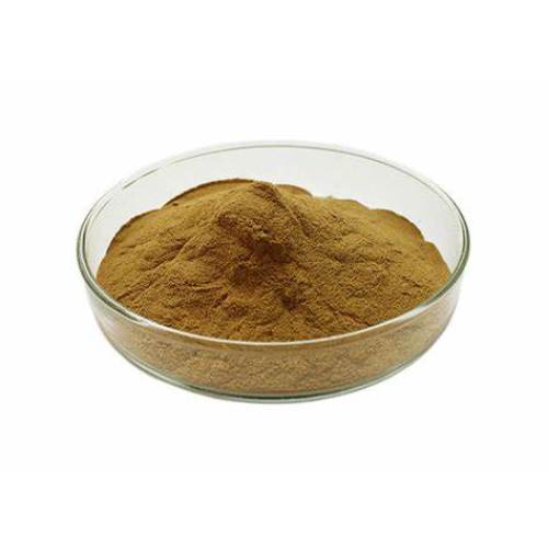 Natural Cactus Extract powder