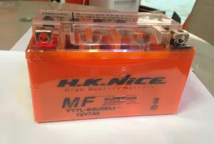 Motorcycle Parts-Motorcycle Battery/Dry Battery