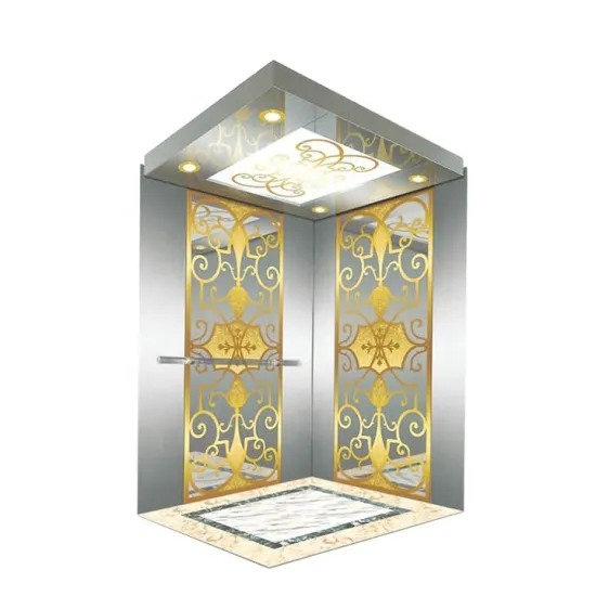 Residential Passenger Elevator for Small Homes and Villas by 12-Year Supplier