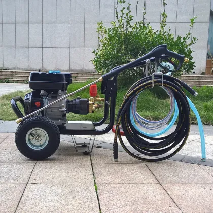 BISON(CHINA) Portable High Pressure Car Washer, Portable High Pressure Car Washer, Gasoline High Pressure Washer