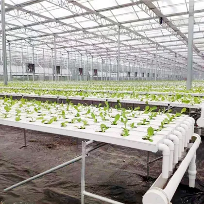 Professional NFT Hydroponic Channel Systems for Commercial Vegetable Growing - 10x5cm Soilless Hydroponics