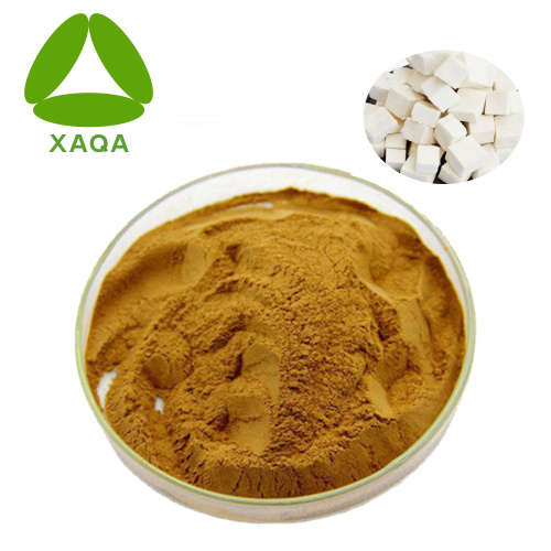 Poria Cocos Extract Powder Polysaccharide 10 ٪ -50 ٪