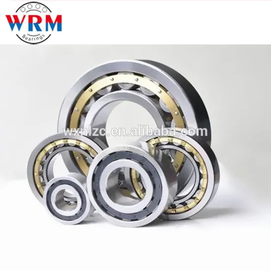 Chinese golden exporter cylindrical roller bearings N040F1 for vibrating screen riddlers