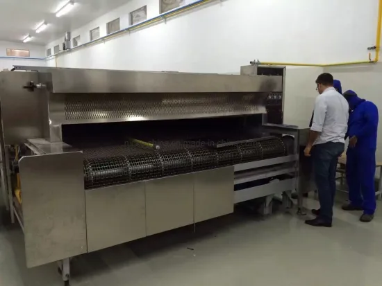 Commercial Electric Stainless Steel Best Pizza Ovens Sale with Tunnel Convection Oven