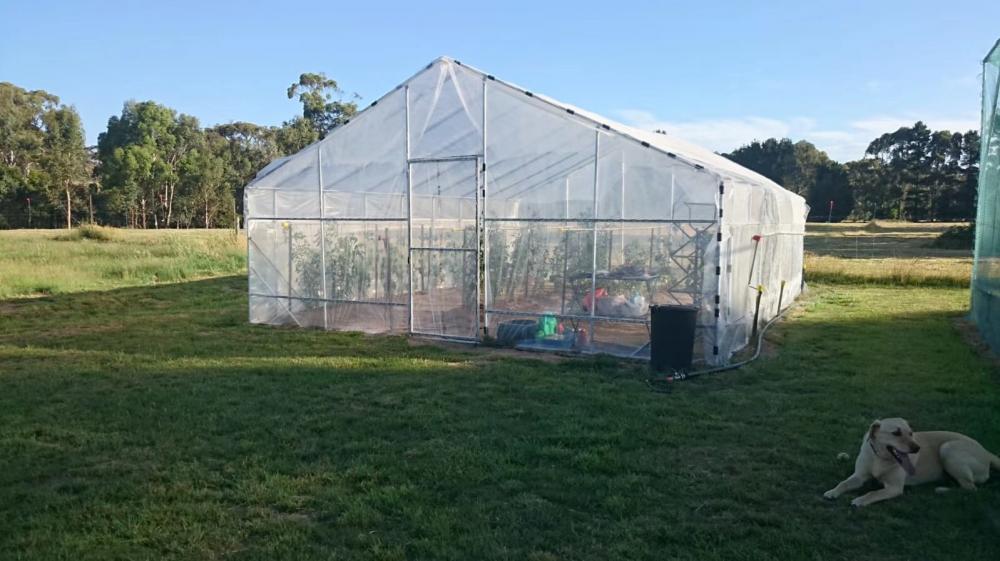 Strong Wind Resistance PE Cover Family Garden Greenhouse