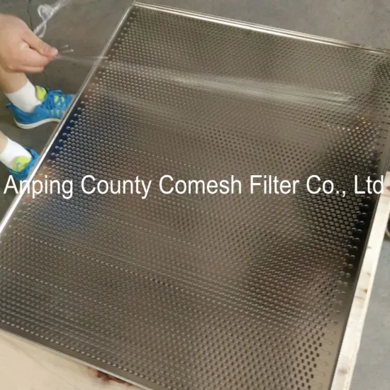 Perforated Stainless Steel Drying Vegetable Tray