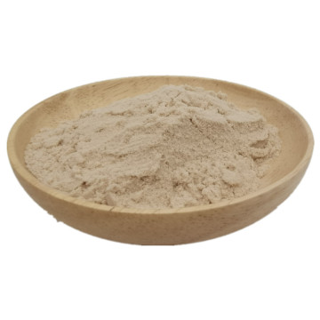 Healthy food ingredients instant amla extract powder