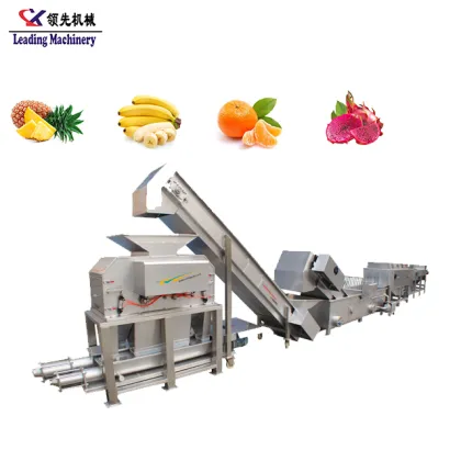 Professional Green Banana Manufacturers: Jam Making and Banana Grinding Machines