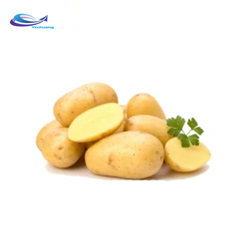 sell Food Grade Potato Protein Isolate powder