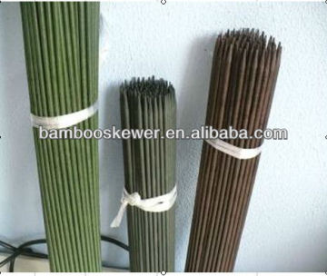 Decorative Dried Sticks