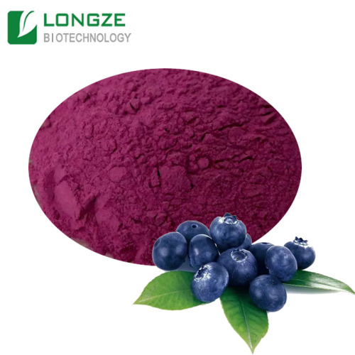 Natural Blueberry Extract Blueberry Fruit Powder