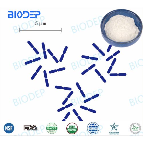 Conservazione degli alimenti e applicazioni biomediche L.Fermentum