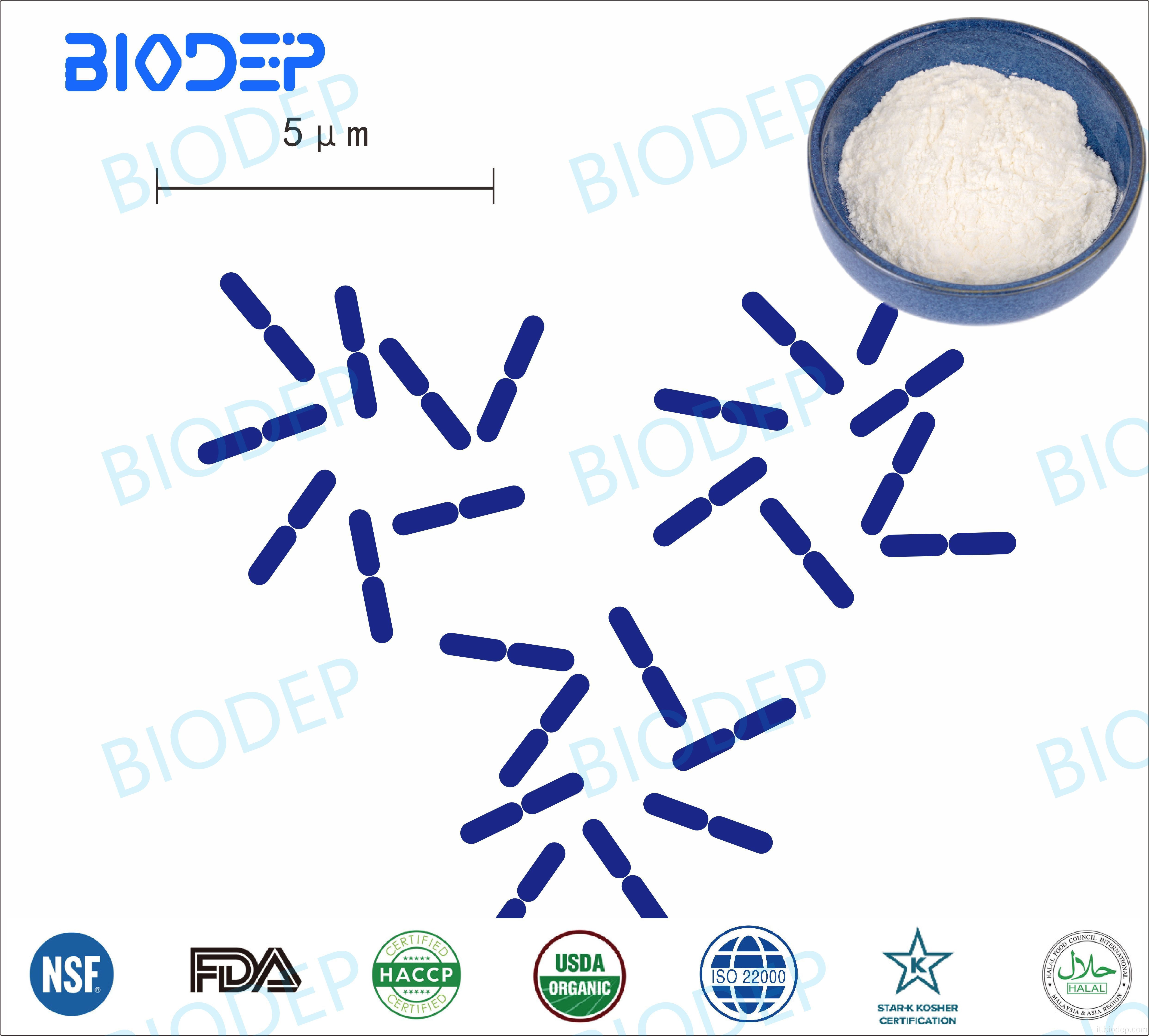 Preservazione alimentare e applicazioni biomediche L.Fermentum