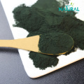 Organic Spirulina Extract Pure natural Spirulina Powder