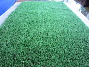 6mm Artificial Pet Grass