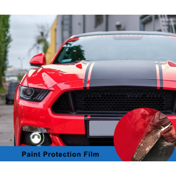 paint protection film vs vinyl wrap