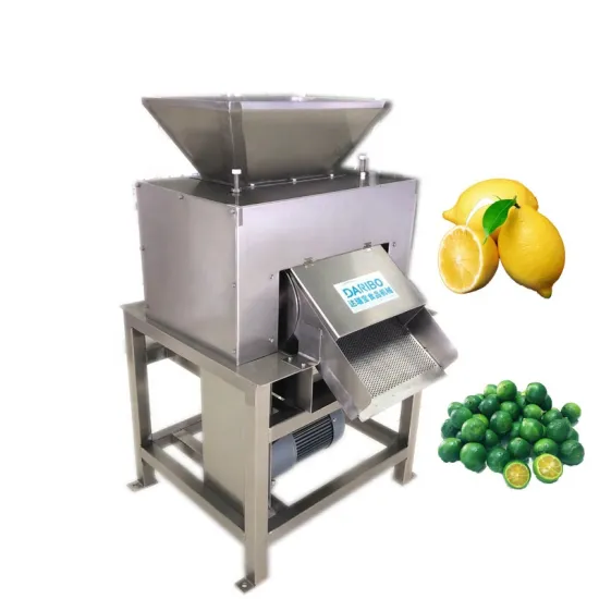 Fruit Juicer Machine: Lemon Squeezer, Orange Juicer, Tangerine Extractor