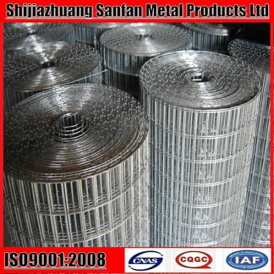 Welded Wire Mesh Stainless Steel & Galvanized