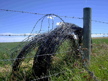 Barbed Iron Wire