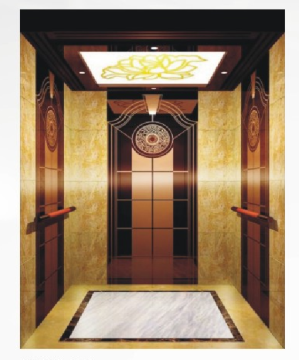 Passenger Elevator for Competitive Price
