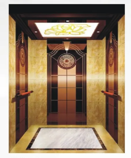 Passenger Elevator for Competitive Price