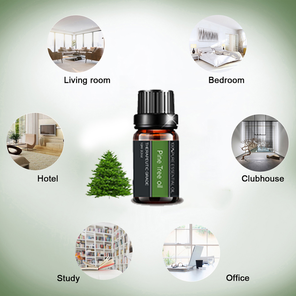 Plant Extract Pine Tree Essential Oil For Massage