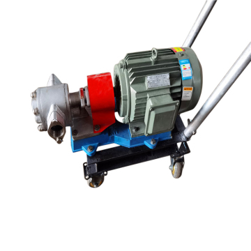 KCB-300 Stainless Steel Cooking Oil Gear Pump for Olive Oil and Soybean Oil - Food Hygiene Pump