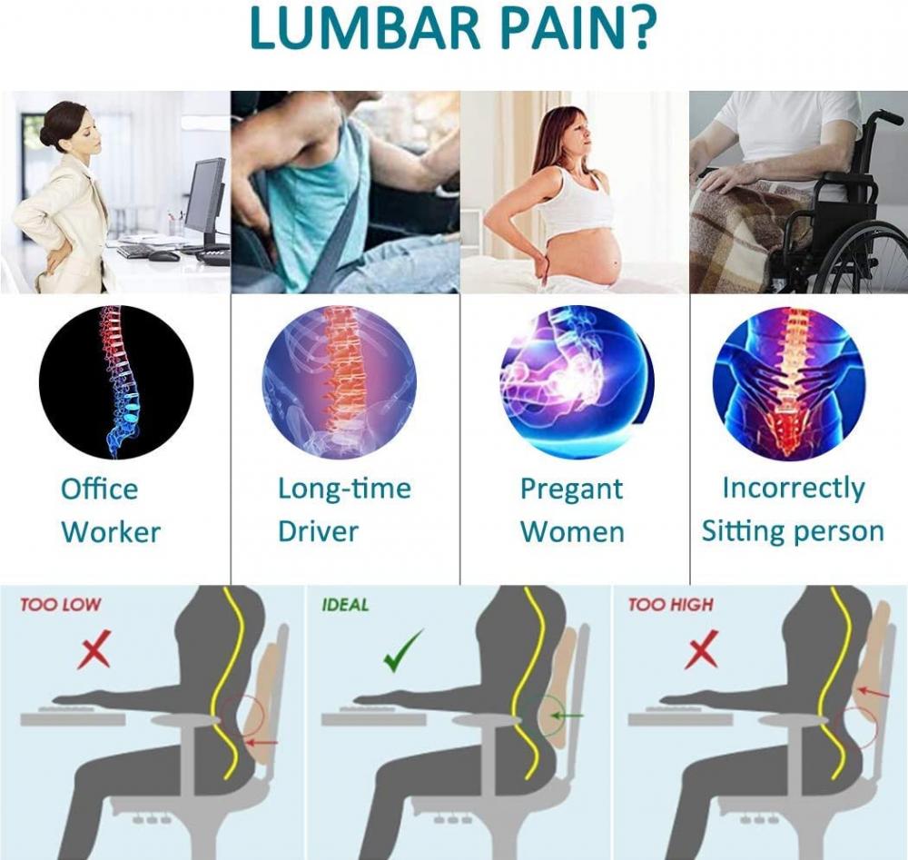 Lumbar Cushion 52 Jpg