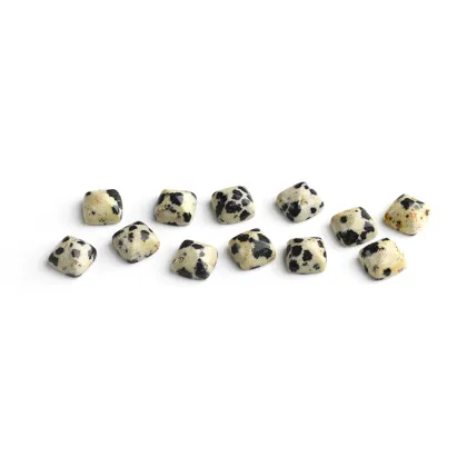 Wholesale Dalmatian Jasper Square Shape Cabochon Cut