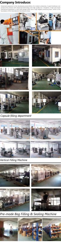 2014 New Large Size Powder Filling Machine, Auto Packing Machine for Pre-Made Bag