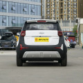 Chery EQ1 2025 Model LiFePO4 25.05kWh 251km