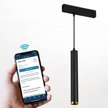 Smart APP Controlled Ceiling Lighting: Cylindrical Magnetic Spotlights & LED Pendant Lights