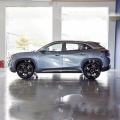 Chery Big Ant Electric SUV