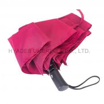 Elegant Auto Open and Close Folding Umbrella