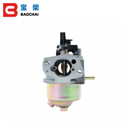 Gas Carburetors P19A-2 for ER2500 Engine Range Extender