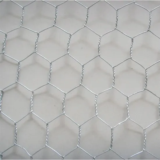 Galvanized Wire Mesh Small Hole Chicken Coop