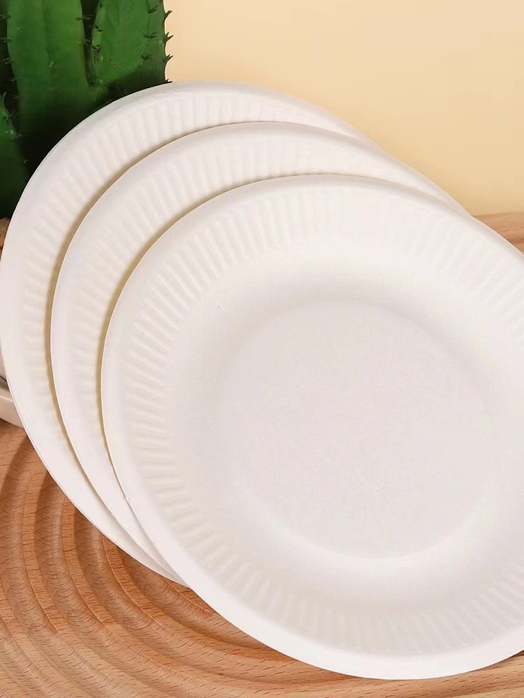 Disposable Party Plates