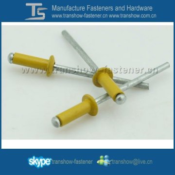 Open Type color painted Blind Rivet