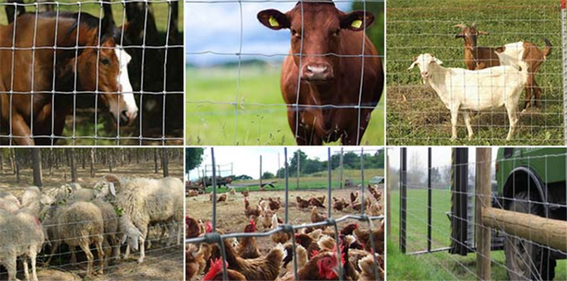 Horse Fence Panels To Build A Round Pen