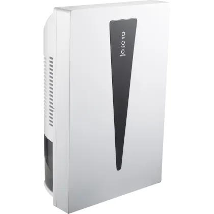 Dehumidifier with air purifier
