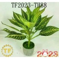 /msite/products/detail/productid/62962245/id/1504288.html