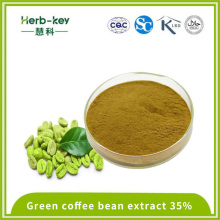 Cooling effect 30% green coffee bean extract