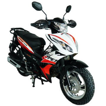 موتورسیکلت های دو چرخ گازی 125 سی سی زیر استخوان ZF125-B