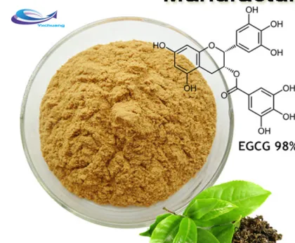 Spray dried organic pumpkin powder pumpkin pure powder