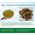Extrait de périostracum Cicadae en poudre chinoise
