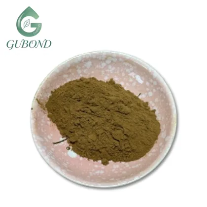 Lotus Leaf Extract 2% Nuciferine Bulk Brown Powder