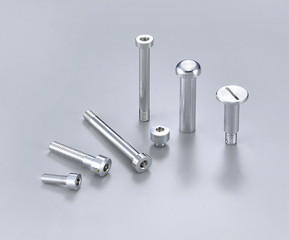 Stainless Steel Screw Machined Parts