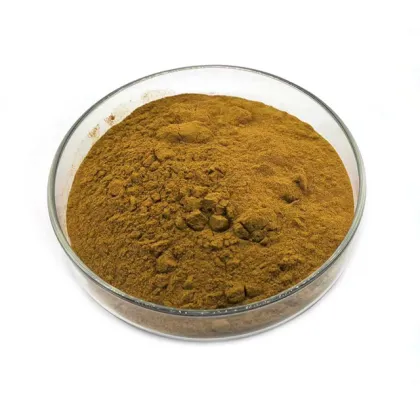 Wholesale Jujube Extract Powder